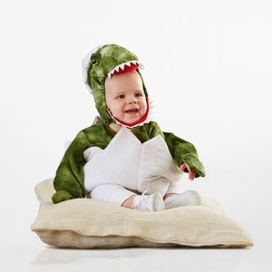 Baby Green Dinosaur Egg Halloween Costume - Pottery Barn